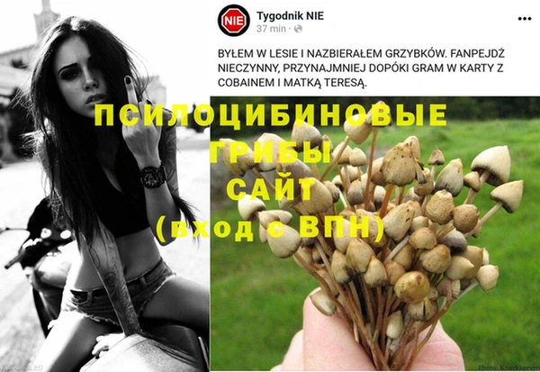 индика Ханты-Мансийск