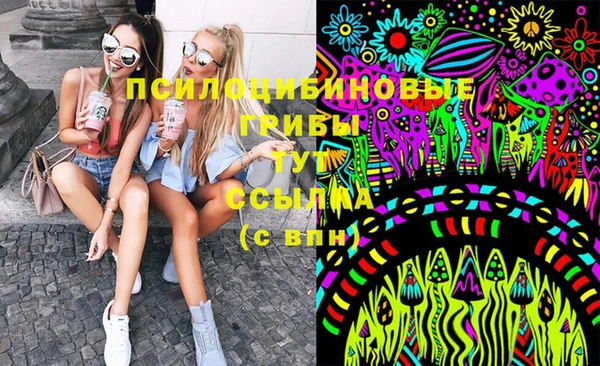 spice Медвежьегорск