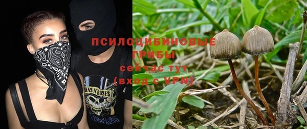 СК Кущёвская
