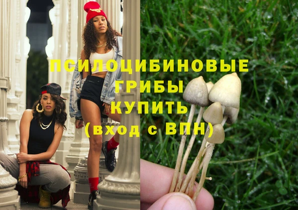 spice Медвежьегорск