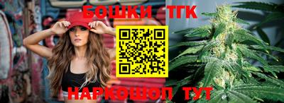 индика Волгодонск