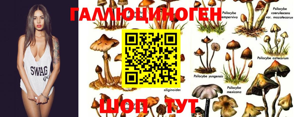 Галлюциногенные грибы мицелий  Вход с VPN  Рубцовск  Псилоцибиновые грибы Magic Shrooms 